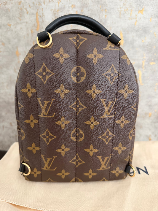 LV Palm Springs Mini