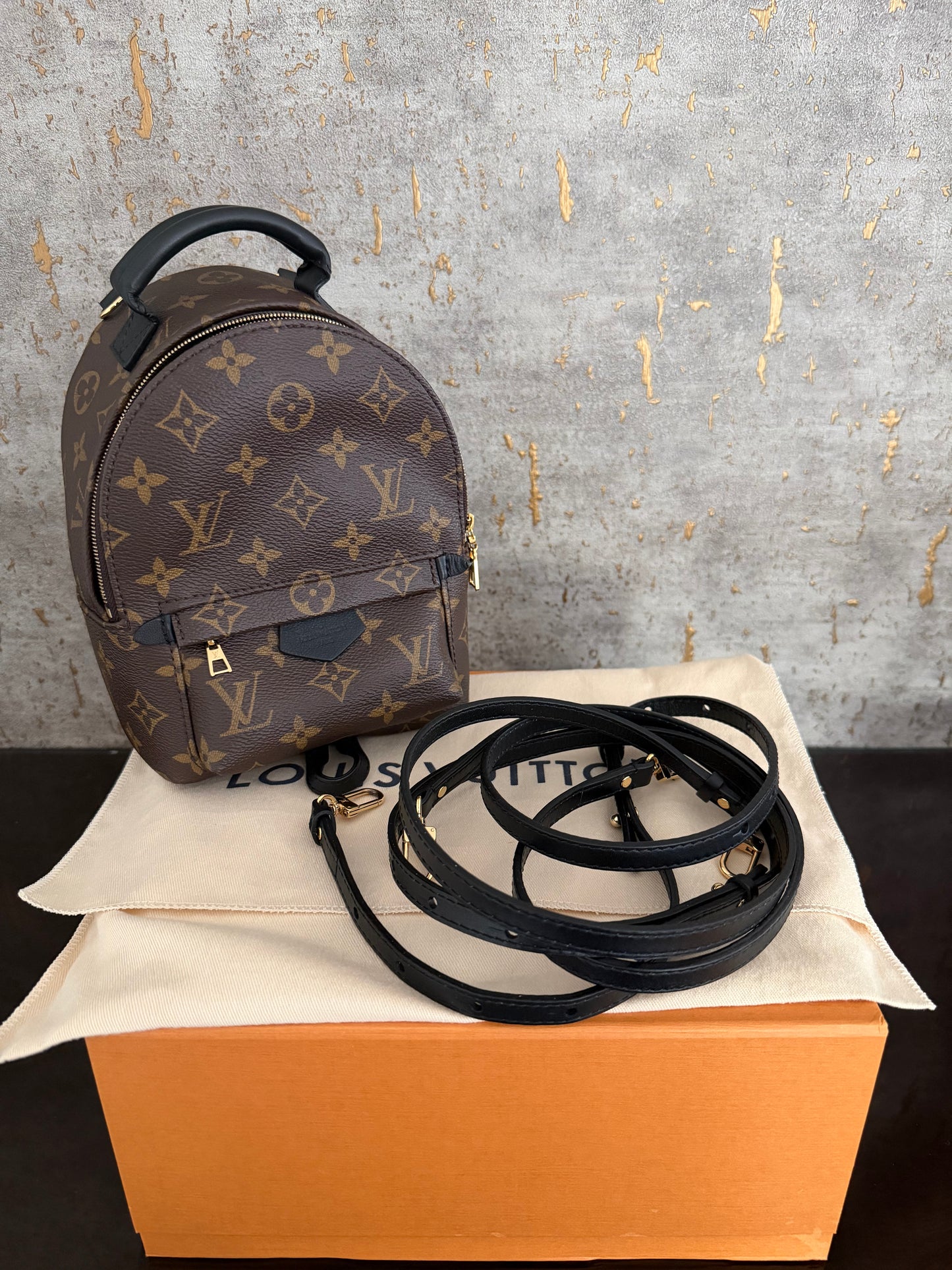 LV Palm Springs Mini
