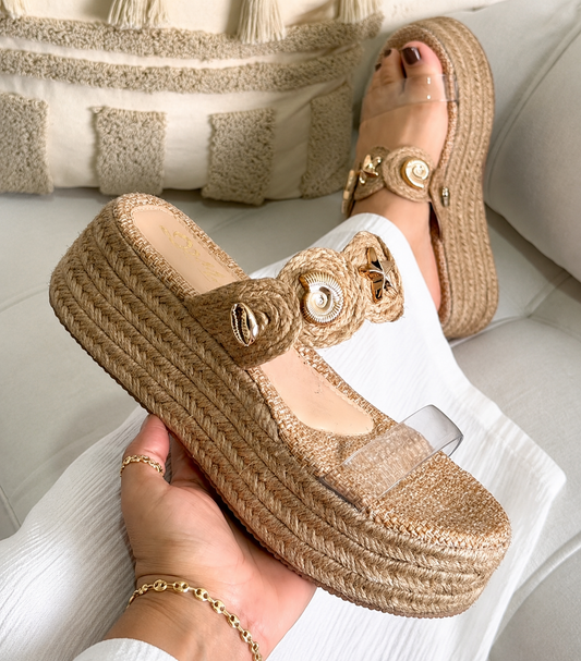 Ibiza Shells