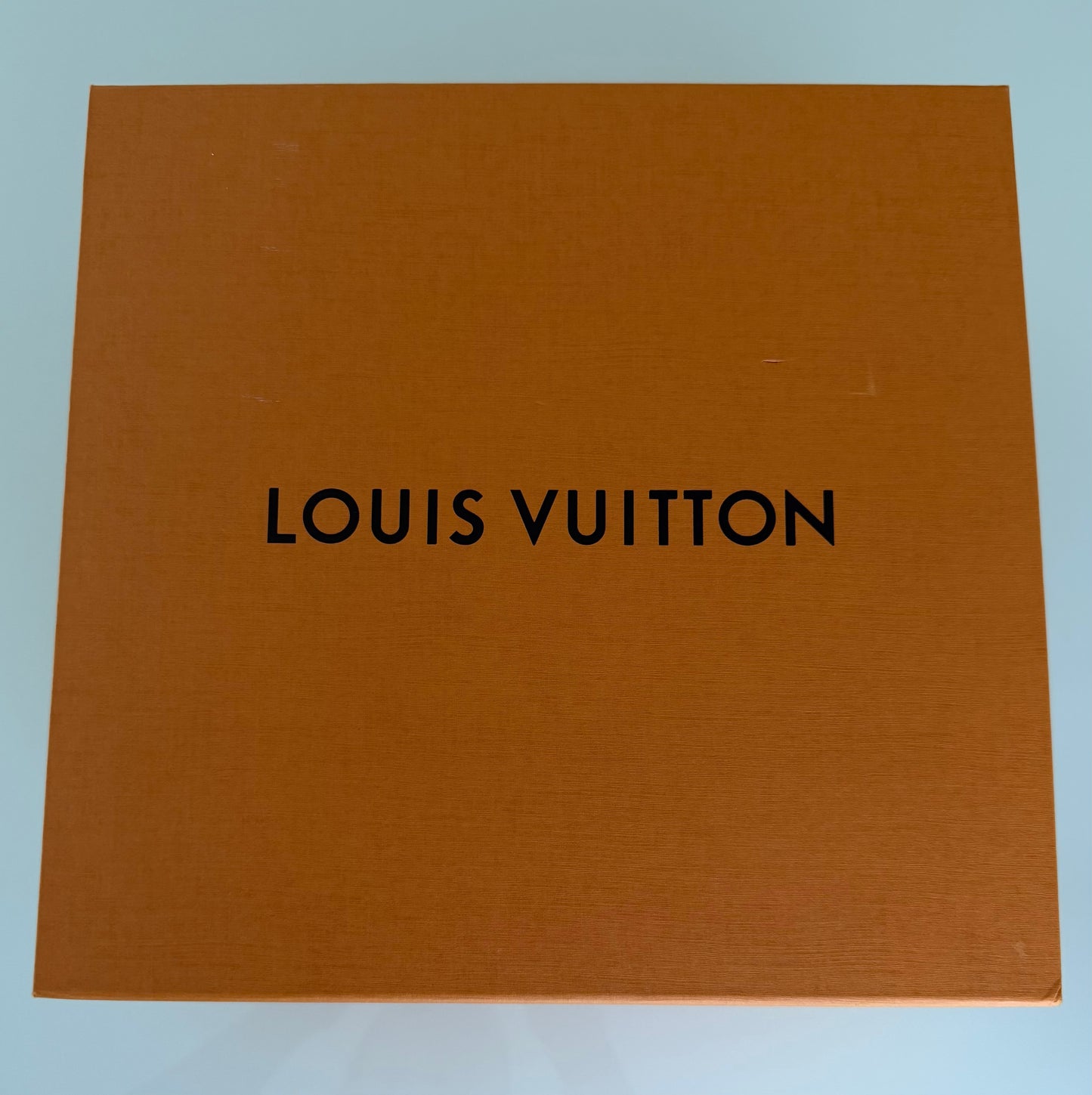 LV Palm Springs Mini