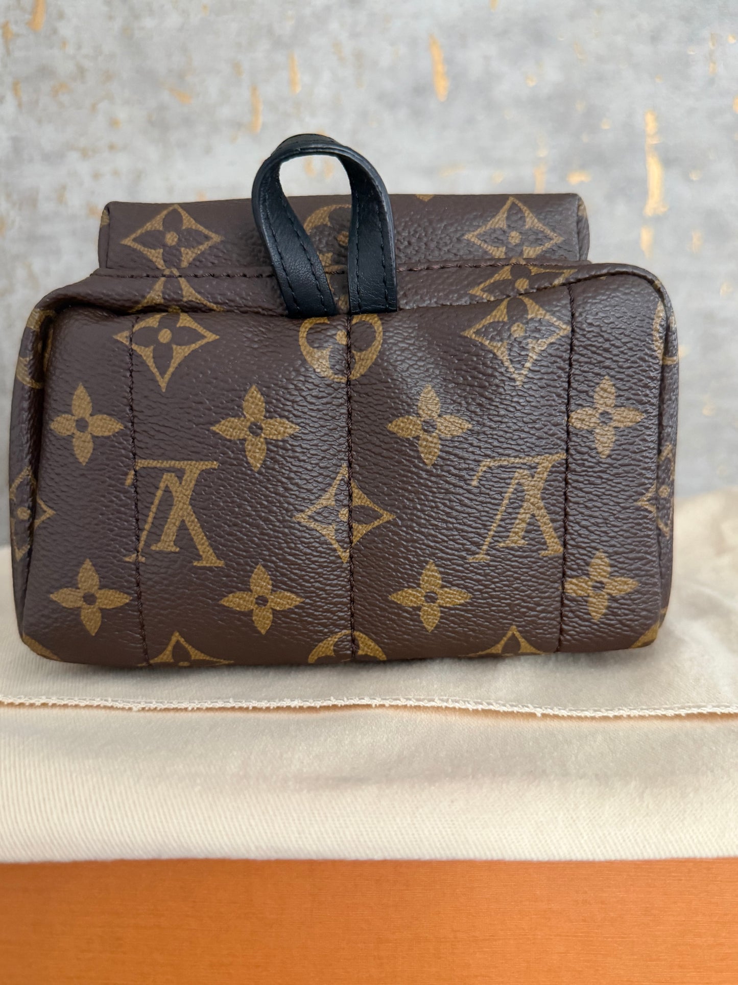 LV Palm Springs Mini